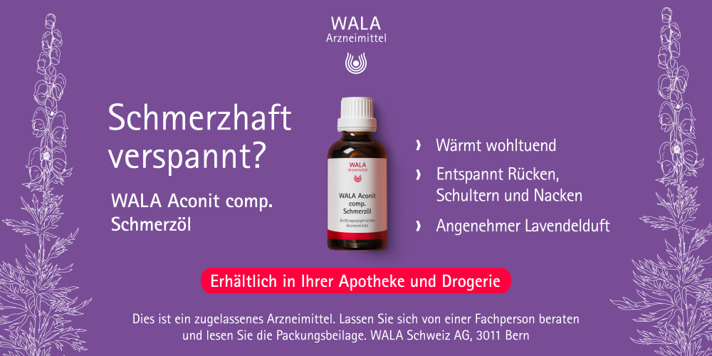 Artikel Bild